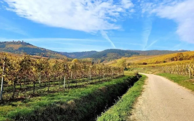 Gîte S'hisla Im Raabland