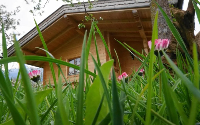 Ferienhaus Mandlhof