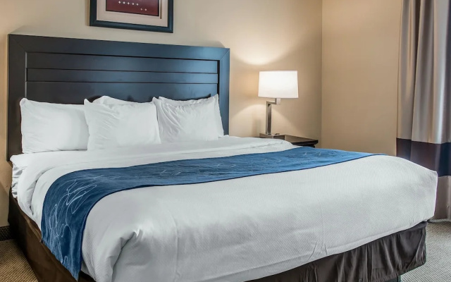 Comfort Suites South Bend