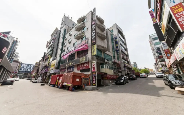 Wonju Big Tree