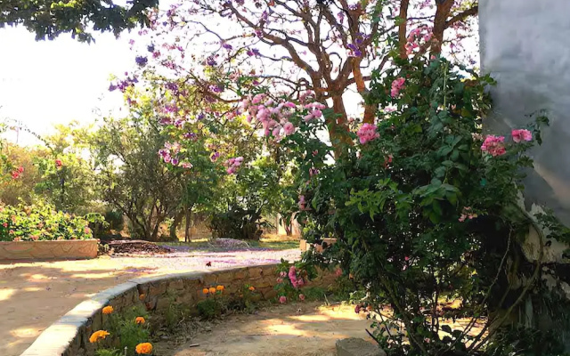 Dendere Lodge
