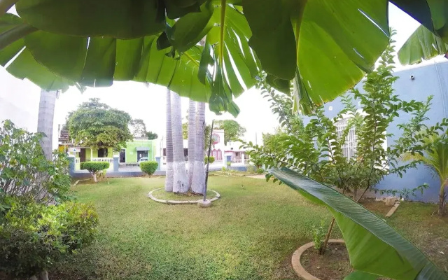 Hostal 434 - Hostel