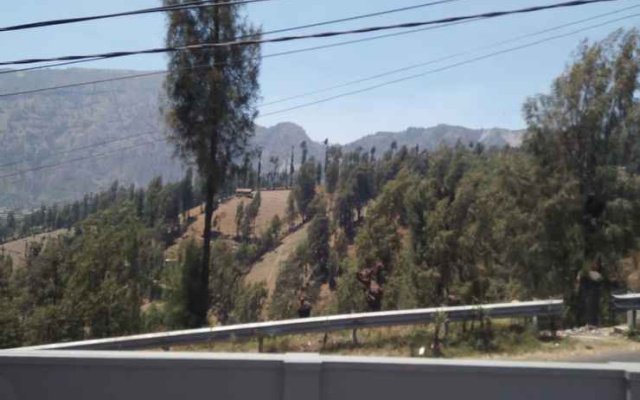 Homestay Ricky 2 Gunung Bromo