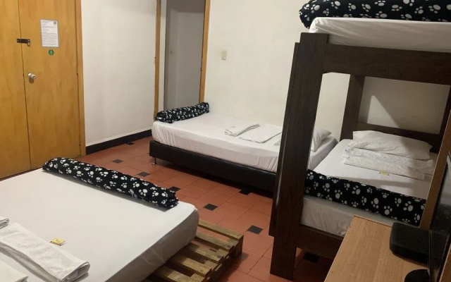 Natural House Hostel