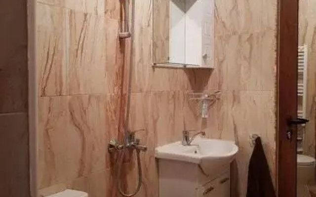 Guest House Bor