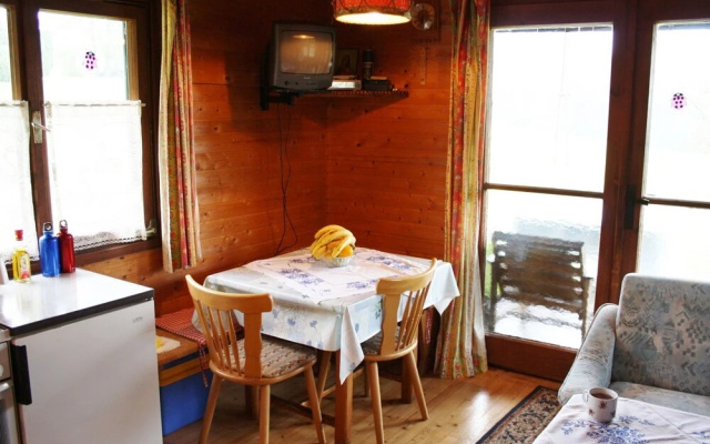 Peaceful Chalet In Thalgau With Mountain View