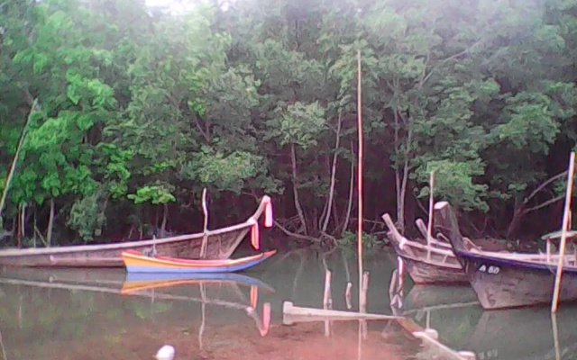 Pordee Shop