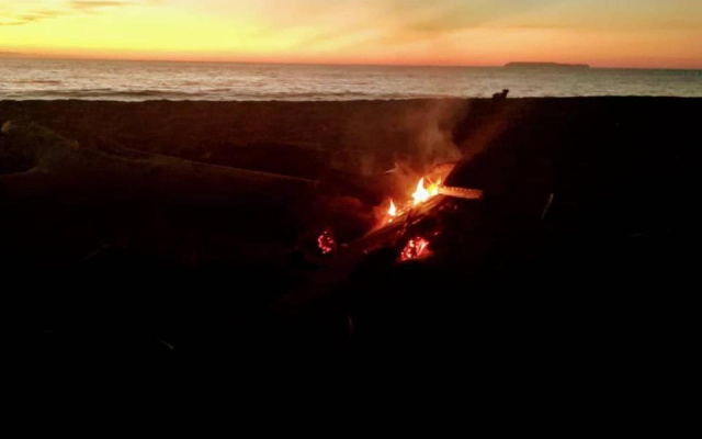 Life for Life Sea Turtle Conservation And Lodging
