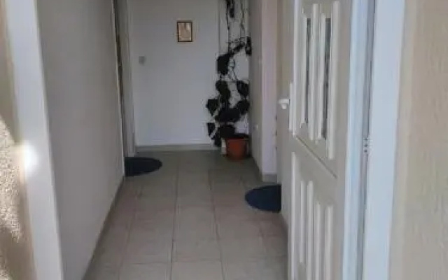 Apartment Davor