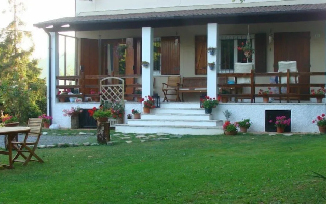 Forest View B&B