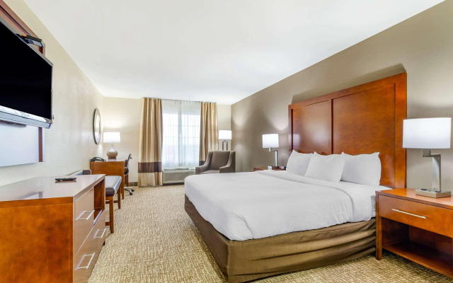 Comfort Inn & Suites near Bethel College
