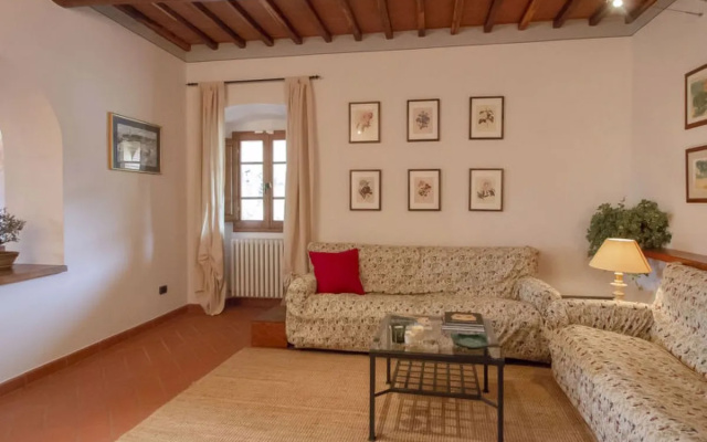 Corbezzolo 30596