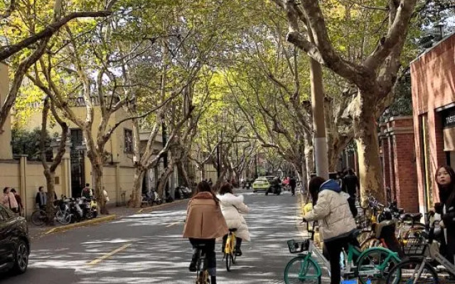 Shanghai Yidu  Homestay (Tianzifang Branch)