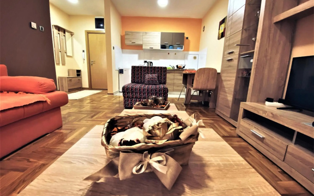Apartment Vas Raj
