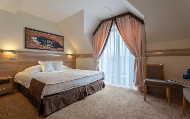 Hotel & SPA Czarny Groń