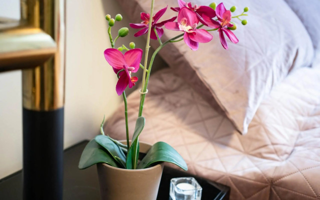 Stylish studio apartment in the heart of Budapest
