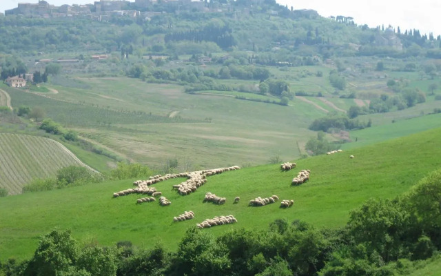 Agriturismo La Creta