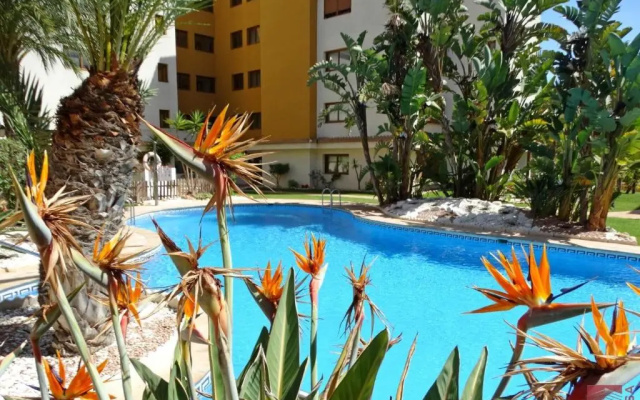 Apartment Eleonor - Punta Prima