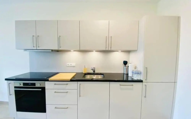 Luxury 2023 Flat in city center. Parking