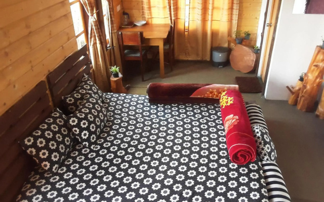 20/20 wood cabana