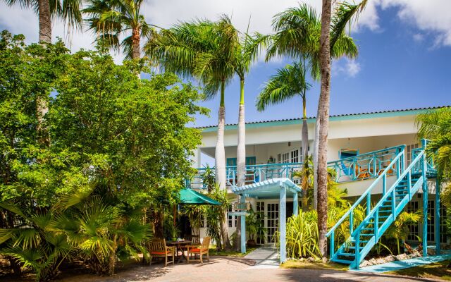 Boardwalk Small Hotel Aruba In Palm Beach Aruba From 365