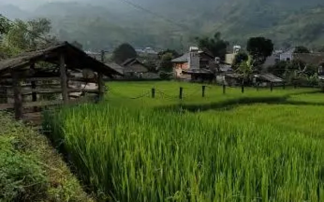 Organic Farm Homestay