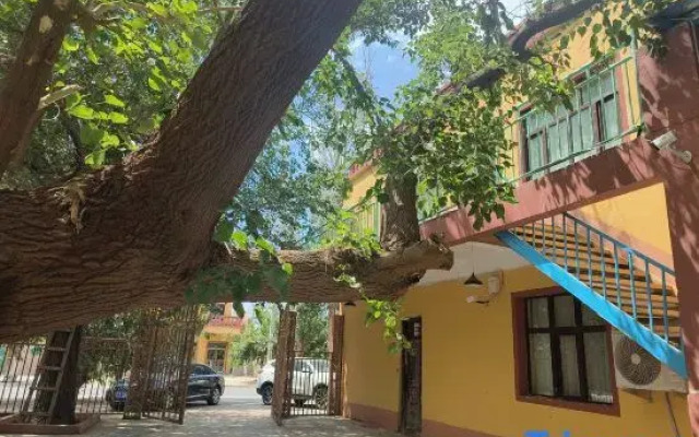 Moshang Sang Homestay