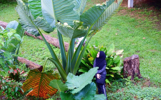 Kawag Nature Lodge