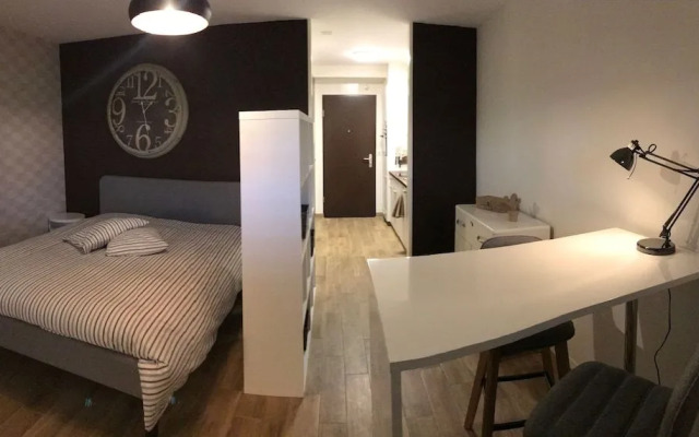 Large Studio Near Epfl And Lausanne City Center