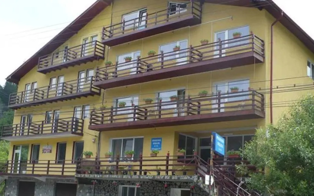 Pensiunea Steluta