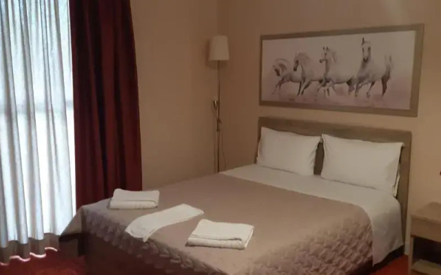Hotel Vasilis