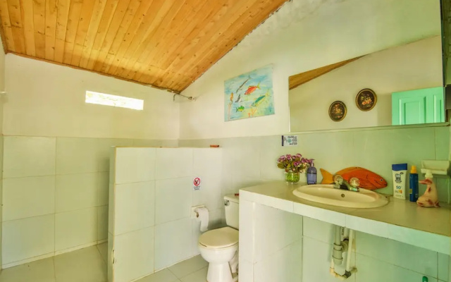 Eco Hotel Casa Lola - Hostel
