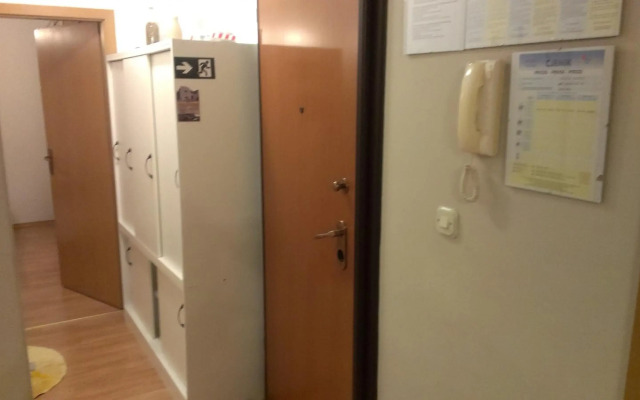 Apartment Viki