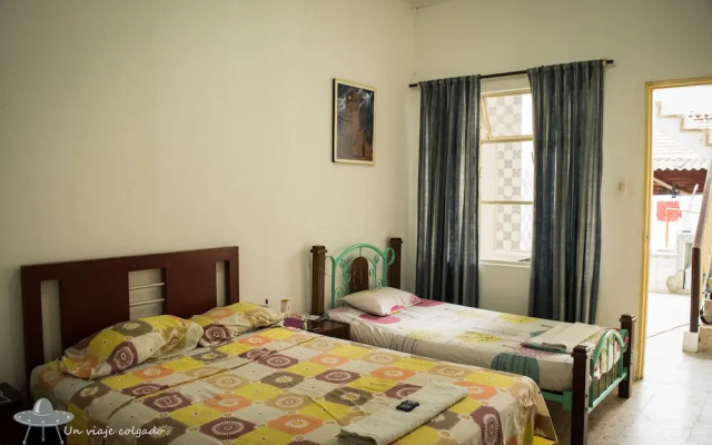 Hostal Casa del Gato - Hostel