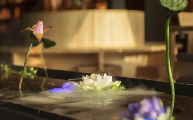Meicheng Wenlv Hotel (Dengfeng Guanshuyuan)