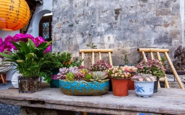 Hongcun Daiqingfang Nanhub Huizhou Ancient Style Experience Homestay