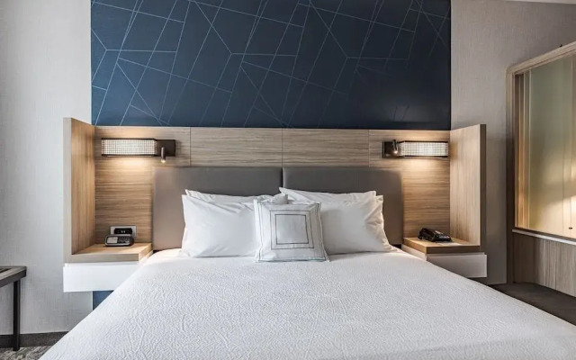 SpringHill Suites by Marriott Detroit Sterling Heights