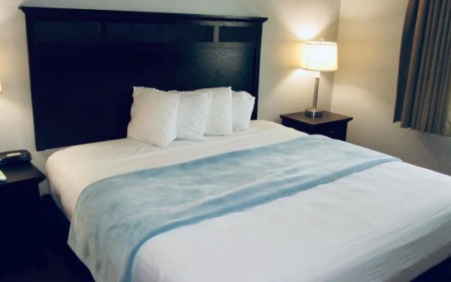 The Avenue Hotel
