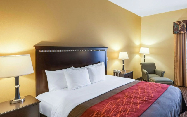 Comfort Inn & Suites Regional Medical Center