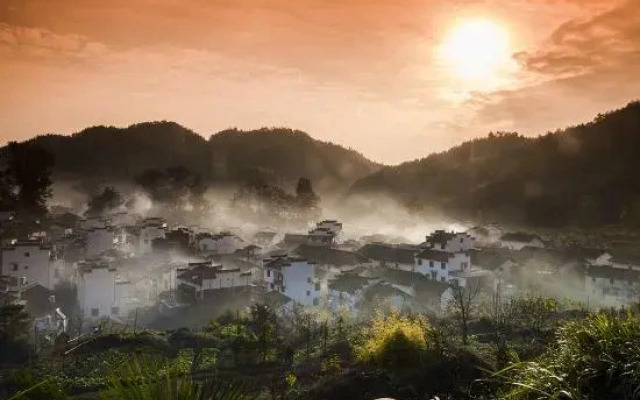 Wuyuan met the dawn bighead
