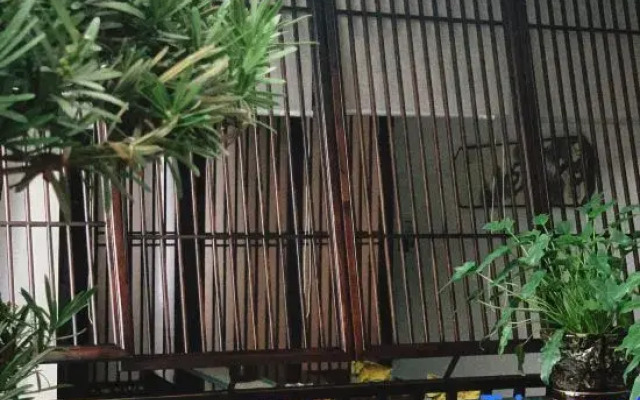 Changsha Buzhi Teahouse Homestay