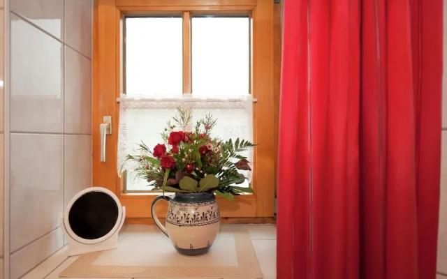 Spacious Apartment in Steingaden near Ski Area