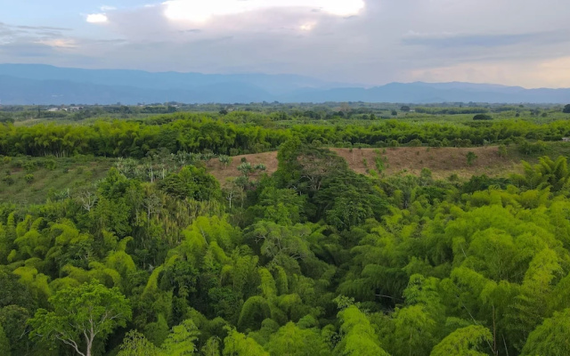 Palta Eco Haven Hotel