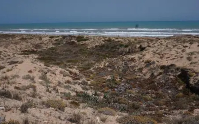 Studio w La Mata