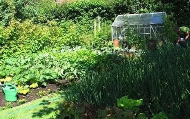 School Cottages BB  Self-Catering