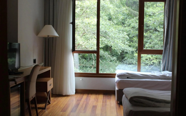 Ayder Hasimoglu Hotel