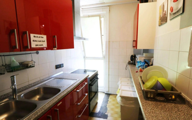 Koala Hostel
