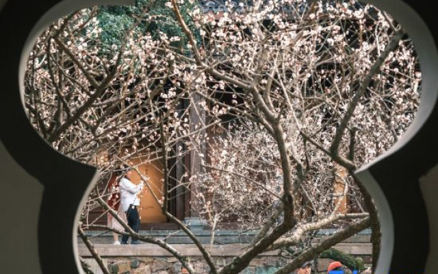 Hangzhou Shuimo Zhuang Private Home Forest Hotel (Chaoshan Scenic Area)