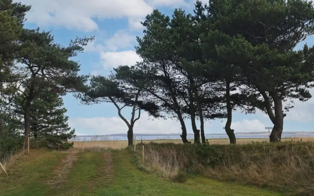 4 Star Holiday Home in Blavand