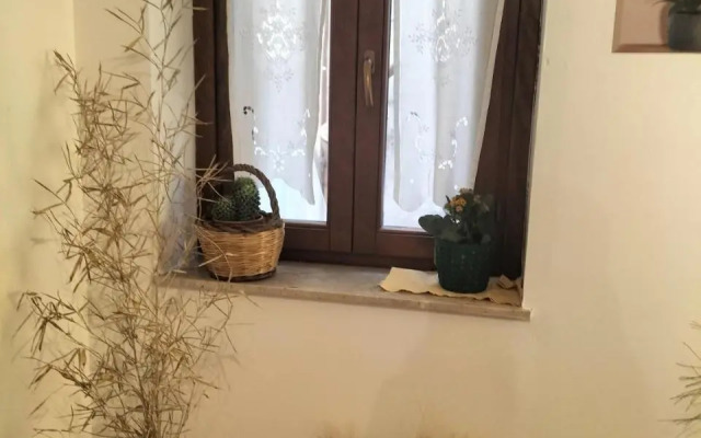La Conchiglia Tra i Due Mari
